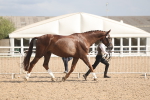 SBM_06847