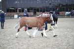 SBM_006196