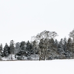 Hoddom Castle in the Snow