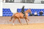 SBM_001562