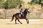 SBM_001432