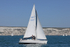 190629 PETASUS - GBR1293L 1Y3A0883