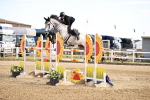 SBM_012287_Class 10 - Talent Seekers Inc 7 Year Old Horse Qualifier - 