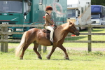 SBM_05371