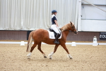 SBM_008079
