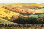 Lamaload reservoir (3)