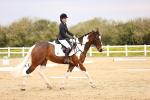 SBM_007326