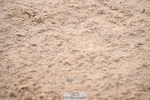 240720A-090800-13264