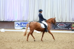 SBM_005015