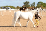 SBM_08655