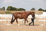 SBM_07037