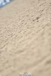 230611A-114134-04835