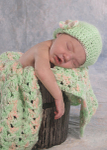 Willow 16