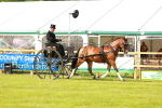 SBM_01174