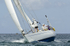 Bequia Easter Regatta_Sat am - Racing Surprise Crusing 1  2_GRW_8619