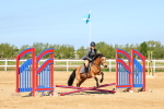 SBM_006643
