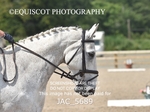 JAC_5689