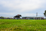 260826-Race 3-Battenburg Belle-5942