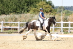 SBM_002522