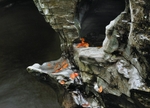 Afon Ystwyth 2