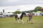 SBM_09917