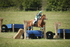 BVHT 140517  IXC -5