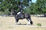WJ7_0910