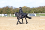 SBM_001038