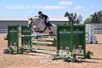 BPP_1623