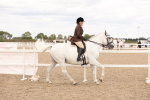 SBM_16491