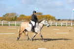 SBM_001011