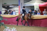SBM_15873