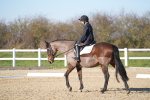 SBM_004309