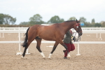 SBM_07961