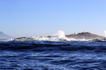 Seal Island in False Bay, South Africa