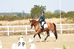 SBM_017302