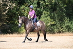 WJ6_8744