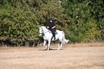 WJ6_6982