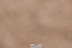 231217A-110029-00230