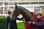 141125-Race 5-Intosomethinggood-0608