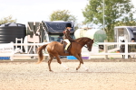 SBM_18028