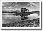 Plockton and the Pines ♦ LOCH CARRON