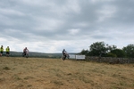 DSCF0877