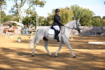 SBM_18434