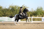 SBM_01269