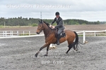 BPP_6391