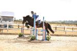 SBM_008831