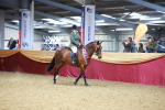 SBM_06358
