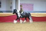 SBM_06265