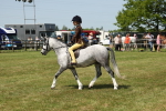 SBM_05333